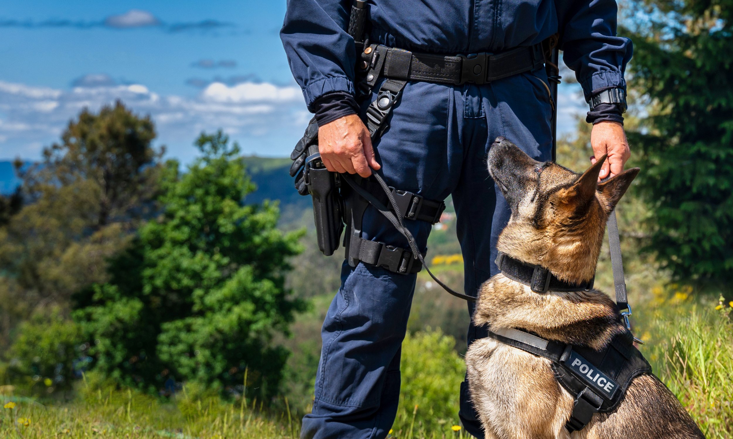 Contesting Illegal Search and Seizure in Gilbert Gun Claims